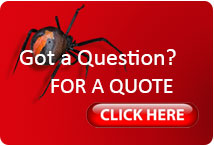 Pest Control Quote